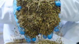 Processing Biomass in eXi Mobile Extraction Lab